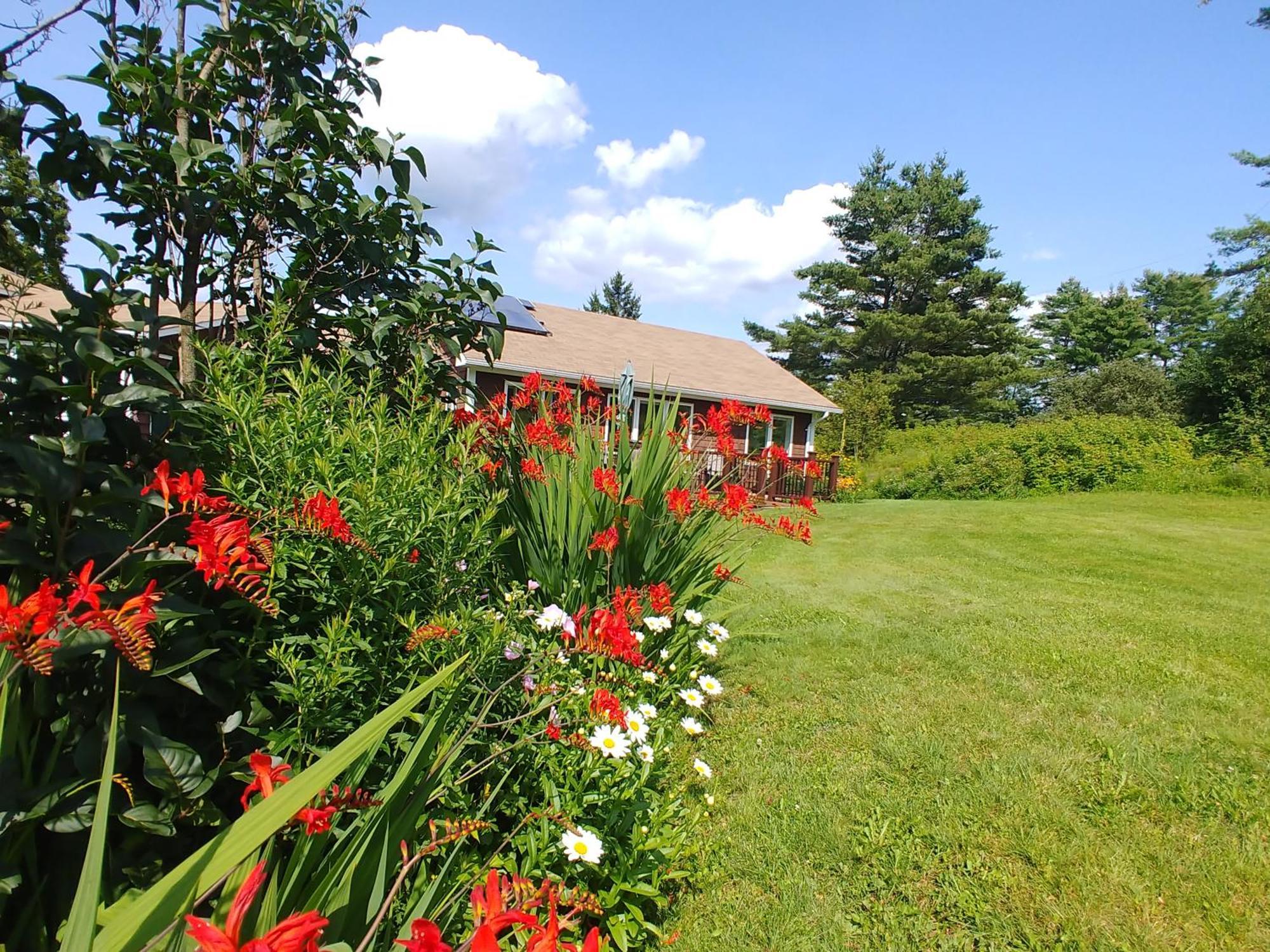 Spacious Country Retreat Close To Town And Nature, Sylvana Farm Vt Μονπελιέ Εξωτερικό φωτογραφία